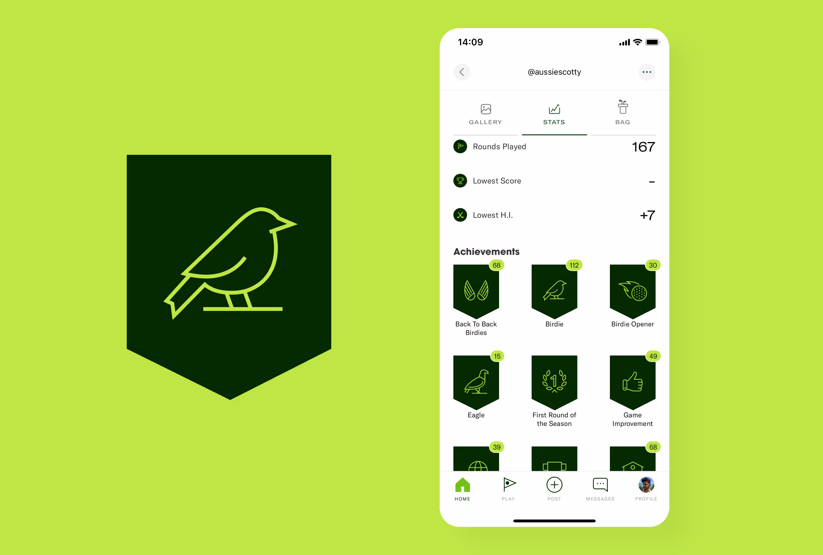 Achievement badges displayed on a player profile