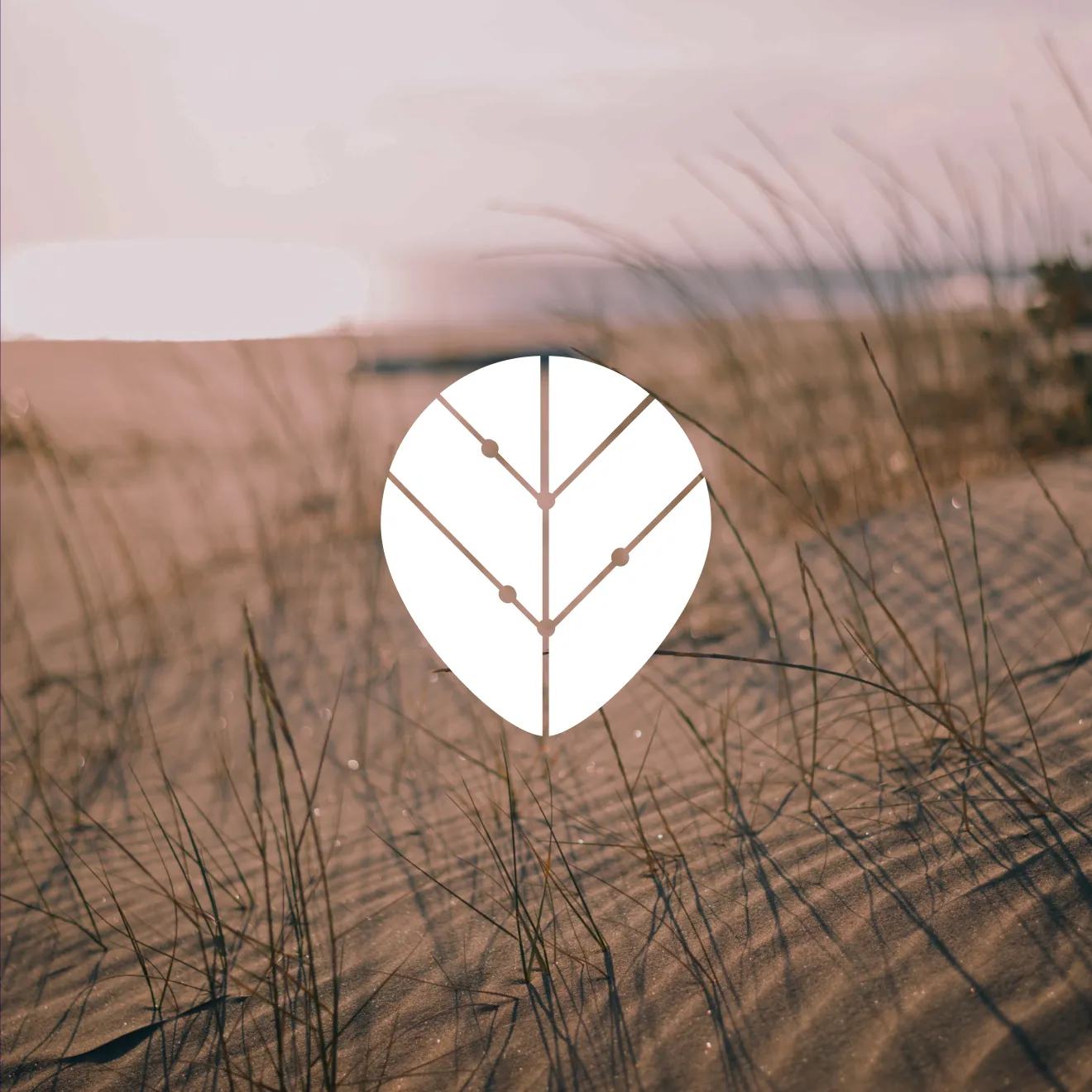 Thrive logo